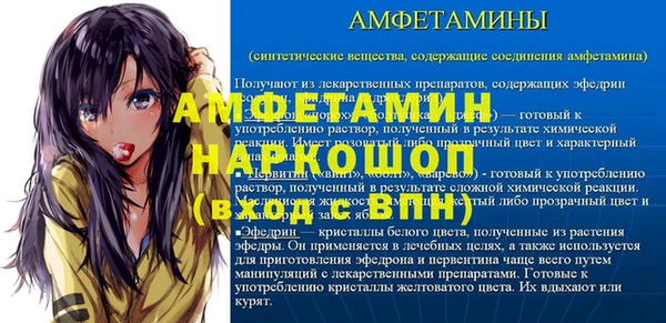 ПСИЛОЦИБИНОВЫЕ ГРИБЫ Вяземский